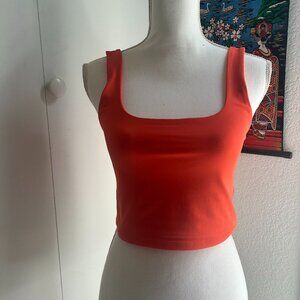 Express Crop Top